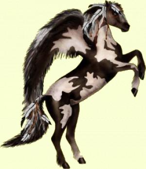 Mon cheval ...